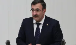 Cevdet Yılmaz: Yavaşlama dezenflasyonu destekliyor