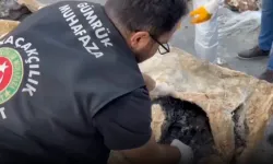Gümrük Muhafaza'dan kaçakçılara rekor darbe... 3 yılda 109 ton uyu-şturucu!