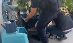 Jandarma'dan Antalya dahil 5 ilde uyu-şturucuya 341 gözaltı