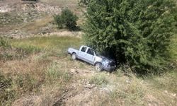 Kamyonet dereye uçtu: 2 yaralı
