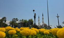 Gazipaşa'da çiçekler açtı