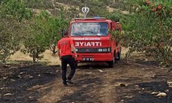 Zirai alan yangını büyümeden kontrol altına alındı
