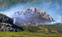 Alanya'da alevler rüzgarın etkisiyle farklı noktalardan yükseliyor