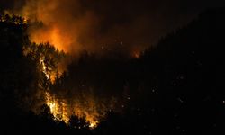 Alanya'da yangın bölgesinde 45 konut tahliye edildi