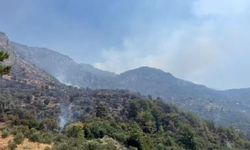 Antalya'daki orman yangınına müdahale ikinci günde de sürüyor