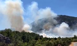 Antalya Akseki'de orman yangını çıktı