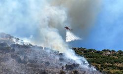 Antalya Demre orman yangını 3 saatte kontrol altına alındı