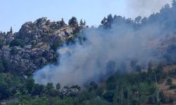 Alanya'da zirai alanda çıkan yangın söndürüldü