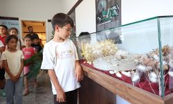 Büyükşehir Alanya Sapadere İpek Evi'ne ziyaretçi akını