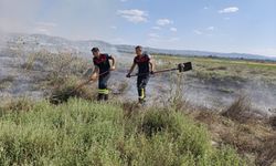 Kuru otluk alanda çıkan yangında 20 dekar zarar gördü