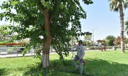 Sokaklardaki 'metruk' tehlikeye ince temizlik
