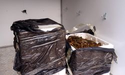 Terminalde ele geçirilen 90 kilogram kerevit imha edildi