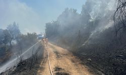 Yol kenarında başlayan yangın söndürüldü