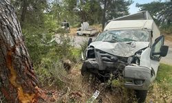 Alanya'da kamyonet ağaca çarptı: 1 ölü