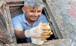 Alanya'da kanalizasyona düşen kedi kurtarıldı
