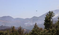 Alanya'da yangınına 12 helikopter, 2 uçak, 150 kara ekibi müdahale ediyor