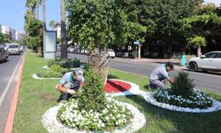 Alanya'da yeşil alanlara yoğun mesai