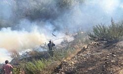 Muz ve avokado bahçeleri yangında zarar gördü