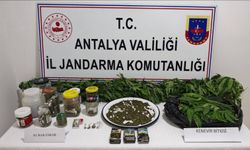 Manavgat'ta operasyon: 2 Kilo esrar ve 130 kök kenevir ele geçirildi