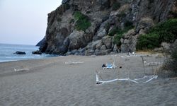 Yerleşik yabancılar deniz kaplumbağalarının gönüllü koruyucusu oldu