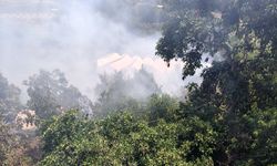 Alanya'da zirai alandaki yangın büyümeden söndürüldü