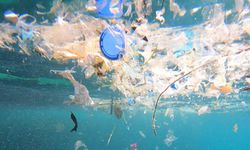 'Akdeniz'deki mikroplastik sorunu çözülmezse turizm sekteye uğrar'