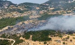 Antalya Kaş'ta orman yangını