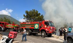 Antalya'nın 2 ilçesinde orman yangını kontrol altında