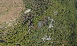 Antalya Kemer'de orman yangını kontrol altında