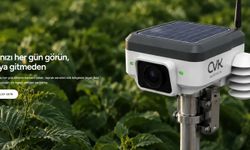 Tarlaya 24 saat göz; Türk mühendislerden tarımda yapay zeka devrimi