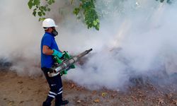 Vektörle mücadele hız kesmiyor