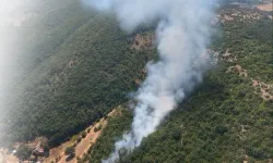 Bursa Kestel ve Harmancık'ta orman yangın