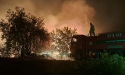 Antalya Serik'te otluk yangın rüzgarın etkisiyle büyüdü