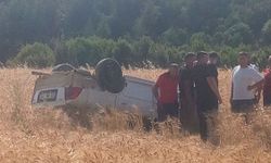 Tarlaya yuvarlanan otomobilin sürücüsü yaralandı