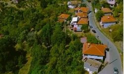Alanya Mahmutseydi'de vatandaşlar çözüm bekilyor
