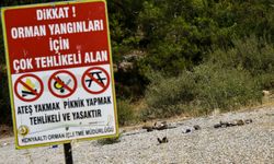 Yasağa rağmen 'ormanda mangal' duyarsızlığı