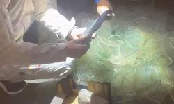 Amatör balıkçılar baraja kaçak bırakılan ağı imha etti