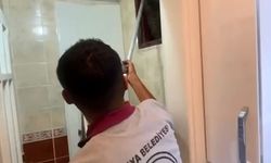 Apartmanın havalandırma bacasına düşen kedi kurtarıldı