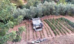 Gazipaşa'da ticari araç tarlaya uçtu: 2 yaralı
