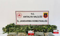 Alanya’da operasyon: Evden kenevir ve esrar çıktı