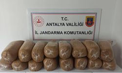 Kaçak tütün operasyonu: Alanya ve Kaş'ta 350 paket sigara ele geçirildi