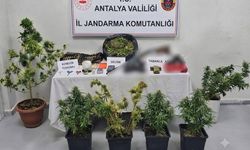 Serik ve Alanya’da operasyonu: 22 Şüpheli gözaltında
