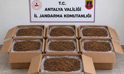 Alanya ve Döşemealtı’nda kaçak tütün operasyonu: Yüzlerce ürün ele geçirildi
