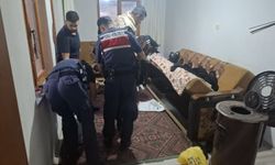 Yasa dışı bahis operasyonunda 11 gözaltı: hesaplarda 566 milyon TL'lik işlem hacmi