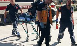 Tarlada levye ve pompalı tüfekli kavga: 3 yaralı