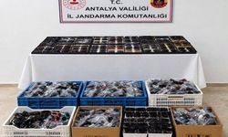 Konyaaltı ve Manavgat’ta gümrük kaçağı ürünler ele geçirildi