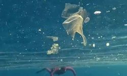 Yağışlar sonrası denizdeki plastik kirliliği kamerada