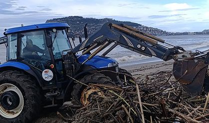 Alanya'da sahil temizliği başlatıldı