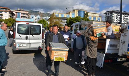 Alanyalı bal üreticilerine arı kovanı hibe edildi