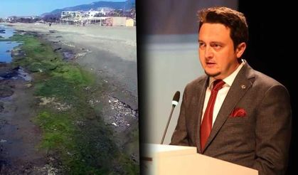 Alanya'daki kıyılarda çekilmenin nedenini açıkladı